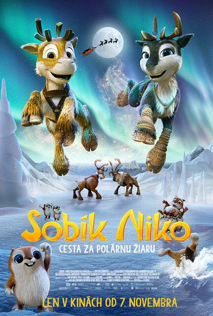 Sobík Niko a cesta za polárnu žiaru