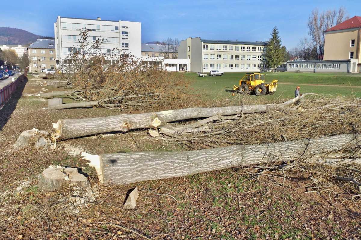 Stromy, ktoré padli za atletickú dráhu, nahradia novou zeleňou